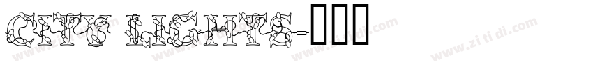 City Lights字体转换